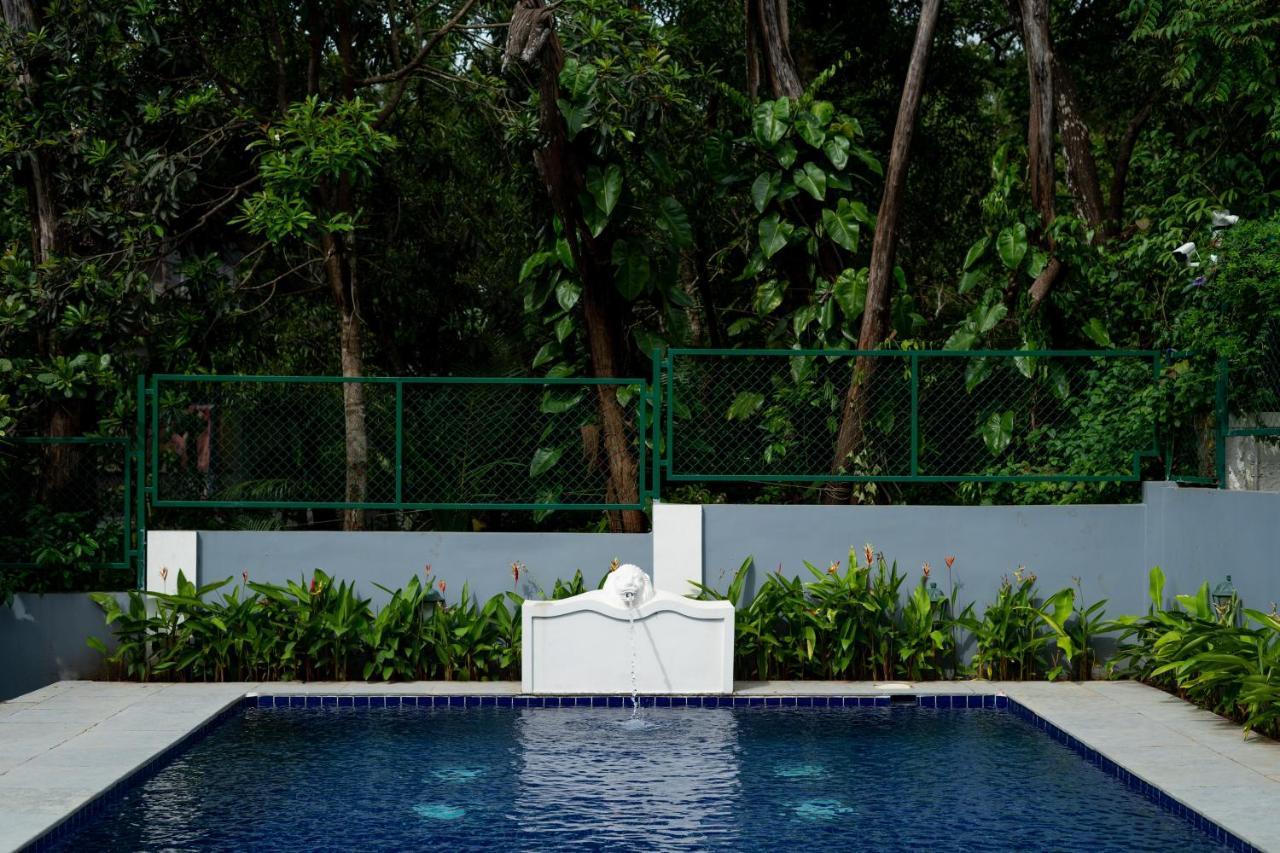 Elivaas 5 Bhk With Pvt Pool, Entertainment Room & Glass House - Bludoor Marmagao エクステリア 写真